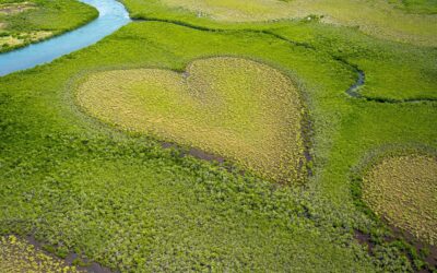 Polarność – jak znaleźć równowagę w świecie przeciwieństw?