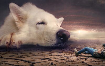 Psychosomatyczne Przejawy Wzorców Rodowych – Jak Twoje Ciało Przekazuje Ci Historię Przodków