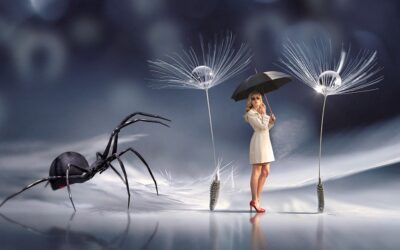 Fatalne Spotkanie – Początek, Który Wydaje Się Przeznaczony do Niepowodzenia?