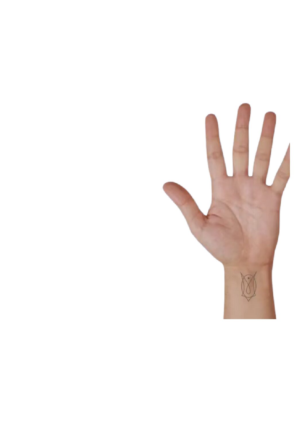 OTWARCIE DRÓG, UWOLNIENIE ZASOBÓW